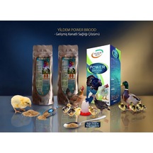 Yılsac E-sel + C + 100 Gr X 2 Adet +power Brood 100 Ml Kuş Ve Kanatlılar İçin Vitamin Takviyesi