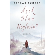 Aşık Olan Neylesin? - Biri Bir Gün - Serdar Tuncer - Mecra Kitap