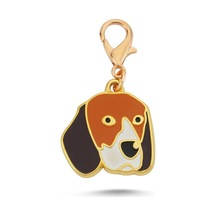 Beagle Altın Kaplama Mineli Tasma Aksesuarı Renkli