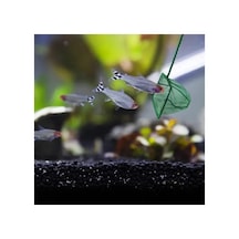 Herşeytrend Akvaryum Balık Kepçesi 12 Cm