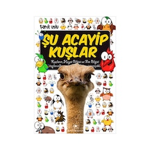 Şu Acayip Kuşlar - Tarık Uslu - Uğurböceği