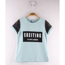 Mint Yeşili