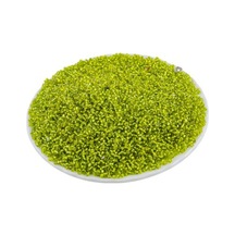 Kristal Limon 11/0 2 Mm Kum Boncuğu 100 Gr