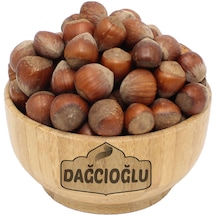 Dağcıoğlu Kabuklu Fındık 1 KG