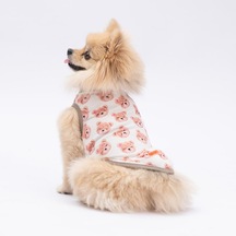 Cute Bears Kedi Köpek Tişörtü - Kedi Köpek Kıyafeti
