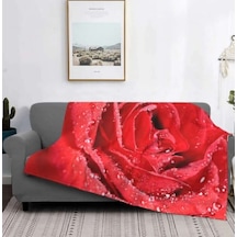 Gul Tek Kişilik Polar 150 Cm 220 Cm. Tv Battaniyesi