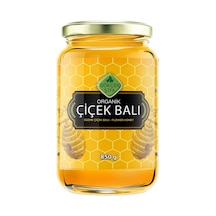 Gökçek Şifa Organik Çiçek Balı 850 G