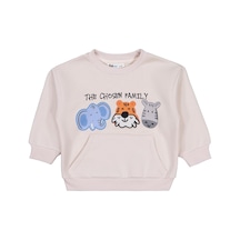 Civil Boys Üç Kafadar Baskılı-nakışlı 2-5 Yaş Sweatshirt - Bej Taş Rengi