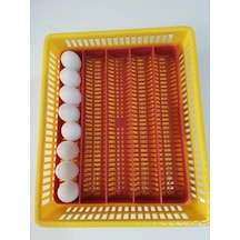 Gelişim ve Çıkım Tablası Küçük