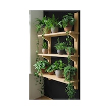 Ev Dekka Doğal Çam Masif Ahşap 3 Katlı Duvar Rafı - 80x50 Cm Mutfak Banyo Çiçeklik Kitaplık Raf - Fiyatı, Yorumları Bej Bej