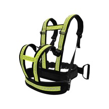 Sunskyy Motosiklet Düşme Önleyici Çocuk Kayışı Sürme Emniyet Kemeri Yeşil