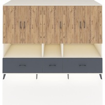 Aytaşı - Çam - Antrasit