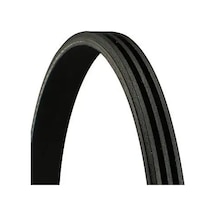 Contıtech 3pk760 Kayis 31110pk30030 31110pk30031 31110pm3003