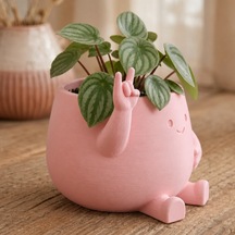 Bezos 3d Baskı Smiley Face Planter - Gülümseyen Karakterli Saksı-pembe Dmc