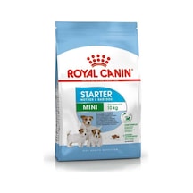 Royal Canin Mini Starter Küçük Irk Anne ve Yavru Köpek Maması 4 KG