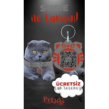 Petjoo 3.Susie Kırmızı-Gri Qr'lı Kedi Künyesi