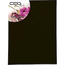 Ceoart 25x35 Siyah Tuval Ceo-tu0012
