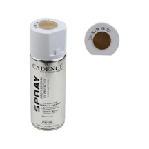 Sprey Yaldız Boya 310 Altın 400 Ml. Karışık Çok Renkli