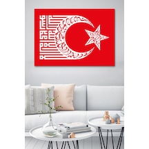 Çok Renkli