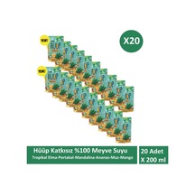 Hüüp Katkısız Karışık Meyve Suyu Elma Portakal Mandalina Ananas Muz Mango X 20 Adet