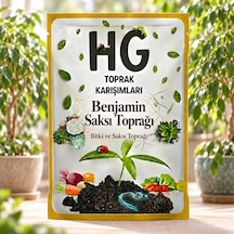 Hg Benjamin Saksı Toprağı Hg-ben-40l 40 L
