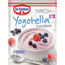 Dr.Oetker Yogotella Orman Meyveli 69 G