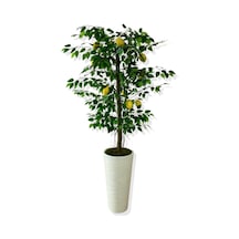 Cihan Çiçekçilik Yapay Ağaç Limon Ağacı 170 Cm 56x30x20 Beyaz Kumsal Saksı Yeşil