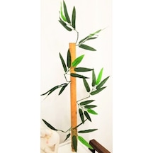 Rüzgar Çiçekcilik 50 Cm 25 Adet Bambu Yeşil