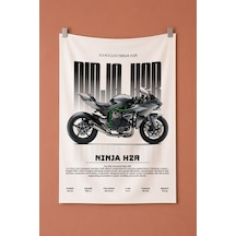 Ninja H2r Dekoratif Duvar Örtüsü Duvar Halısı Reaste
