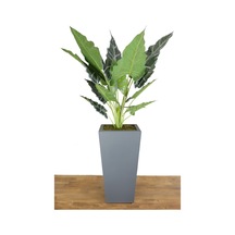 Yapay Dev Alocasia Bitkisi Ahşap Saksıda 145 Cm Yeşil-gri Yeşil