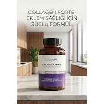 Collagen Forte Platinum Glucosamine Chondroitin Msm Collagen Tip 1-2-3 90 Tablet