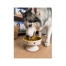 Çift Renk Ayaklı Yüksek Mama Kabı Seramik - Kedi Ve Köpek