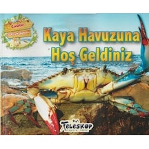 Kaya Havuzuna Hoş Geldiniz- Teleskop Popüler Bilim