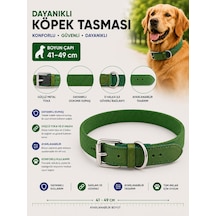 Köpek Boyun Tasması 41-49 Cm Dokuma Kumaş Deri Detaylı Ayarlanabilir Metal Tokalı - Yeşil Çok Renkli