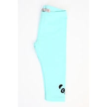 Mint Yeşili