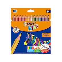 4 Adet Bıc Kids 24'lü Kuru Boya Diğer