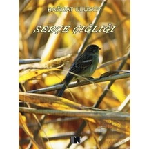 Serçe Çığlığı - Bağdat Ulusoy - Nitelik Kitap