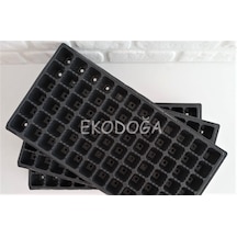 Fide Viyolü 72 Göz 6 Adet Fide Viyol Fide Viyolleri Fidelik