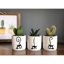 Kedi Desenli Saksı Çiçeksiz - Küçük Boy Sukulent Saksısı Çizim Kedicik