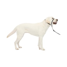 Nazik Leader Baş Yaka, Çekmesiz Köpek Tasması, Büyük 27-59 Kg, Siyah Çok Renkli