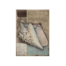 Bedeko Retro Deniz Kabuğu Tasarım Ahşap Tablo 25 Cm X 35 Cm