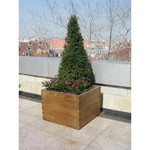 Ahşap Saksı 60X60X50