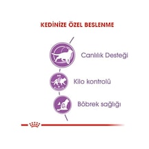 Canin Kısırlaştırılmış Kediler İçin, 7+ Yaş, Kuru Kedi Maması, 3.5 Kg 103 Ivory Canin Kısırlaştırılmış Kediler İçin, 7+ Yaş, Kuru Kedi Maması, 3.5 Kg 103 Ivory