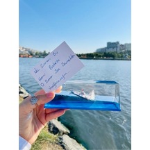 Dekoratif Biblo Hediye Ne Kadar Sallarsan Salla Batmayan Gemi Akv