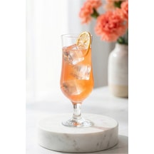Lav Nevakar Cam Kokteyl Bardağı 6'lı 385 ml (Meşrubat/Smoothie /Milkshake/Soğuk Kahve Bardağı )