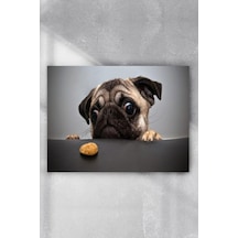 Köpekcik Eğlenceli Mizahi Poster