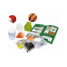 Bilim Ve Oyun Çılgın Toplar, Spor Eğlencesi