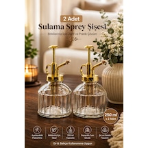 Perotti 15733 2li Gri Vintage Cam Bitki Sulama Şişesi Sulama Kabı