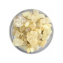 Sandaloz Sakızı 100 GR