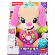 Fisher Price Eğitici Köpekçiğin Kız Kardeşi Fpp83 2 Adet Çok Renkli